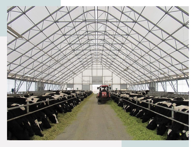 Тентовые коровники в Торжке от 613 руб. - Надежно и доступно